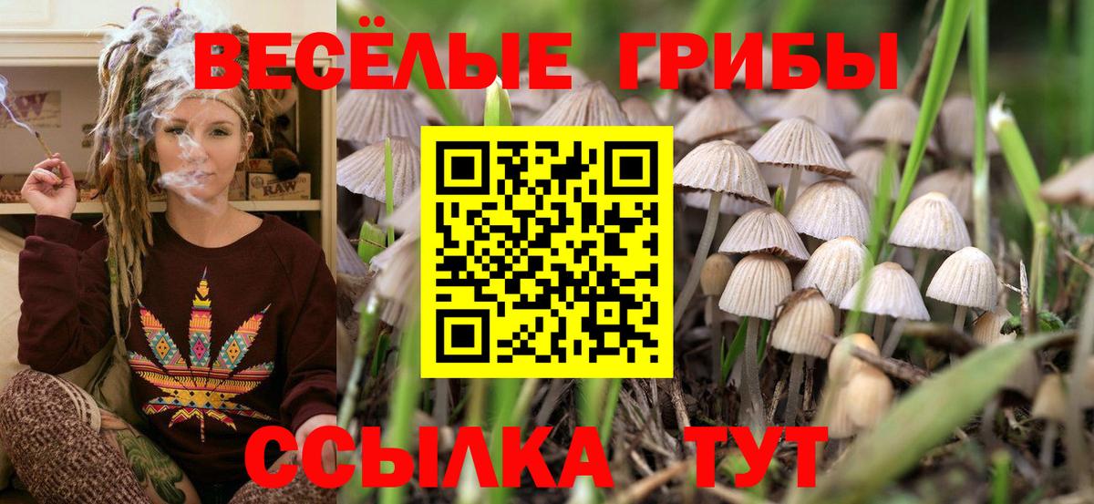 Таганрог  Галлюциногенные грибы мухоморы  Вход с VPN  Галлюциногенные грибы Psilocybe 