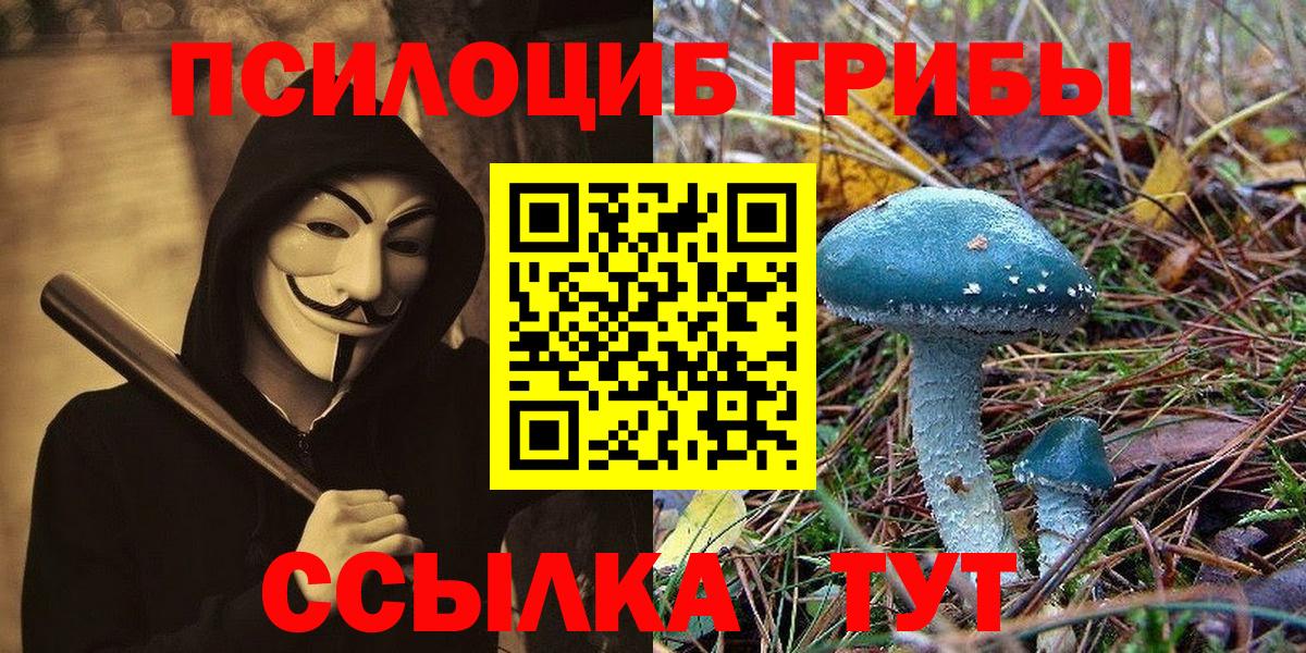 Галлюциногенные грибы Magic Shrooms Таганрог
